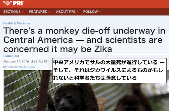 c-america-monkies