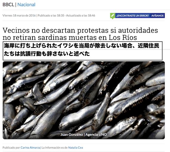 sardin-deaths-chile