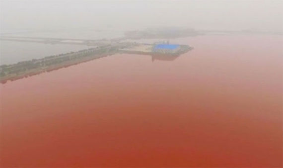 china-s-dead-sea-turns-blood-red