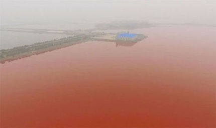 china-s-dead-sea-turns-blood-red2