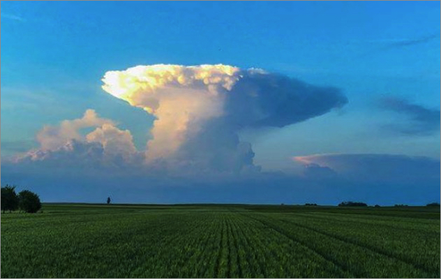 まだ春なのに世界各地に出現する 巨大キノコ雲 地球の記録 アース カタストロフ レビュー