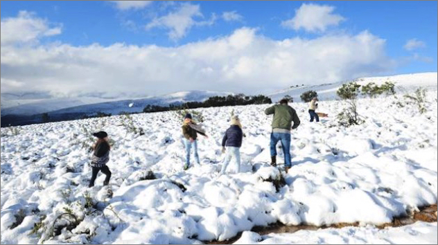 150年は雪の記録がない南アフリカの各地で 世紀に１度 と言われる降雪の事象が発生 地球の記録 アース カタストロフ レビュー